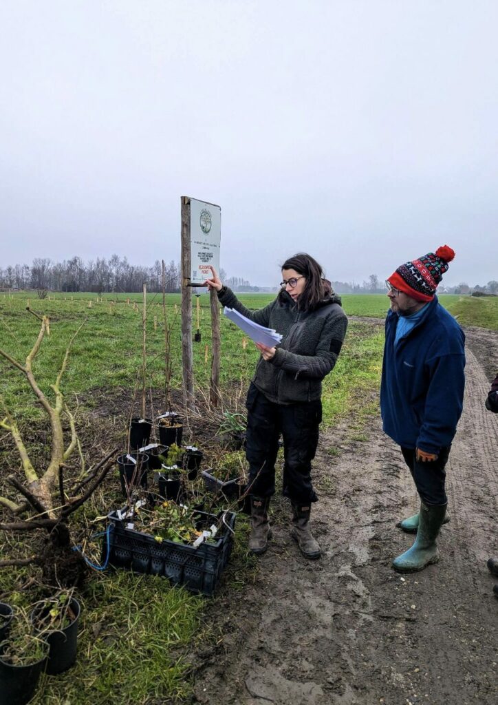 LeBoisDesSaveurs_PlanterArbres Equipe du Bois des Saveurs qui plante les premiers arbres sur le terrain